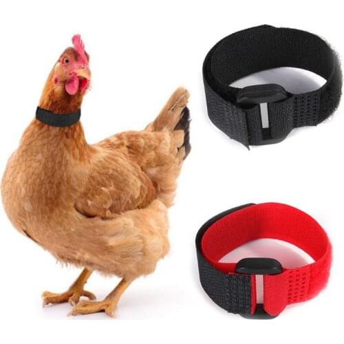 6 Pcs Adjustable Chicken Collars Durable Anti-Hook Noise Free Neckband for Poultry Hen Duck Goose Rooster
