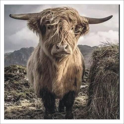 5D Diy Diamond Painting Animal Embroidery Set Diamond Mosaic Home Decoration Mural Gift T218