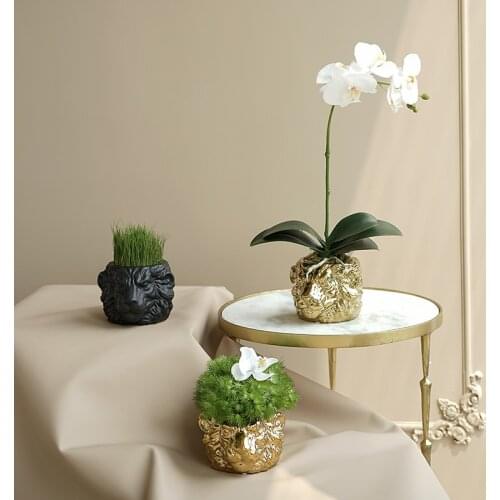 Creative cartoon animal ceramic flowerpot lion head flowerpot succulent cactus potted green plants balcony home decoration