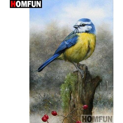 HOMFUN Full Square/Round Drill 5D DIY Diamond Painting "bird"Embroidery Cross Stitch 5D Home Decor A01558