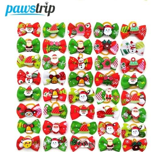 Pawstrip Dog Accessories