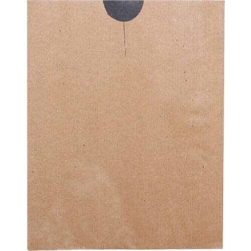 Barrier Bags Prevention Pulp Paper 160*190mm Reusable Anti Bird Protection 100PCS Agricultural 160x190cm Fruit Care