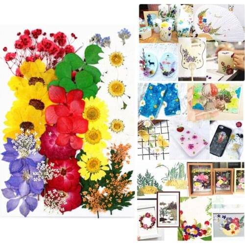 1 Bag UV Dried Flowers Natural Decorative Resin Flower Stickers 3D Dry Beauty Decal Epoxy Mold DIY Jewelry Supply