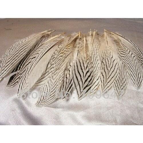Wedding Accessories! 50pcs/Lot 8-10" 20-25CM Silver Pheasant Tail Feathers Craft/Pad/Costume/Hats,Plumas Decoracion
