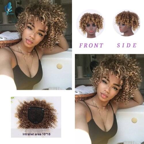 DanBo Synthetic Wigs