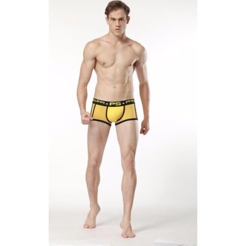 New arrival Brand PINKY SENSON gay underwear mesh boxer shorts underwear sexy boxers Gay Sleepwear panties solid underpants