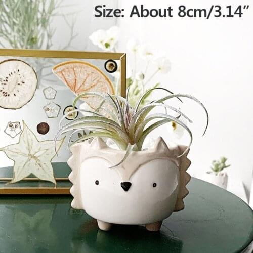 Succulent Ceramic Flowerpot Creative Mini Garden Bedroom Desktop Animal Shaped Succulent Flowerpot Office Decoration