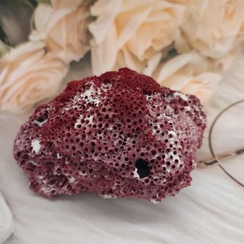 1pcs Natural Coral Tree Sea Red Coralline Plant Antipathes Flowerpot Aquatic Animal Landscaping Furnishing Ornaments Home Decor