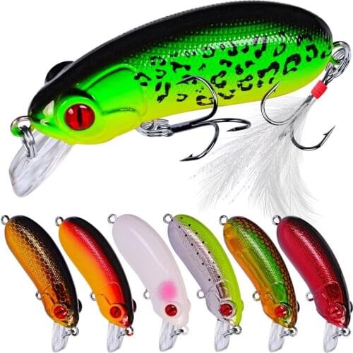 1 PCS Fishing Minnow Swim Fish Bait Artificial Hard Bait10g/62mm 3D Eyes Crankbait Floating Wobbler Jig Top Water Fishing Gear