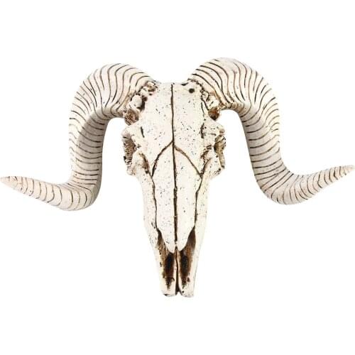 Resin sheep skeleton sketch practice classroom teaching accessories