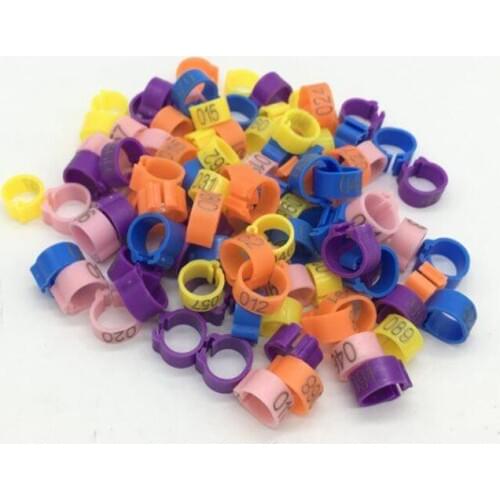 100 PCS Multicolor Pigeon rings Color foot ring Bird Management Logo Pigeon Chicken Quail ring Animal Feeding Tools