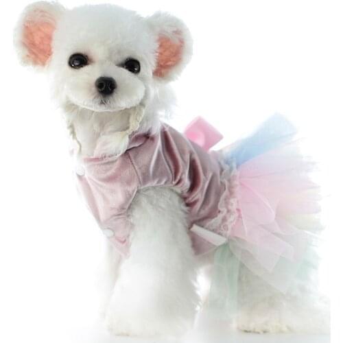 Pet Clothes Autumn Winter Silver Pink Colors Dog Dresses Lace Design French Bulldog Gold Velvet Skirt for Pet