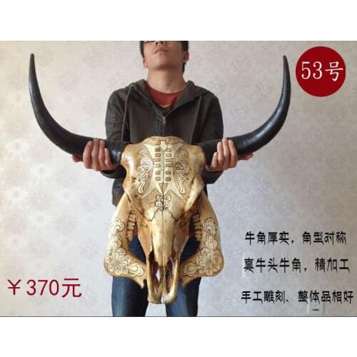 Head Arts Crafts Yak skull handicraft, genuine ox head ornament, cattle and sheep skull specimen, characteristic handicraft, ox