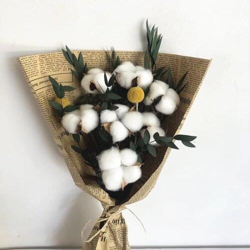 10pcs Dried Cotton Natural Eucalyptus Leaves Decorative Wedding Marriage Decoation Party Home Living Room Decor Accessories