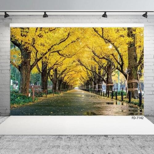 Autumn Yellow Ginkgo Tree Road Photo Backdrops Vinyl Cloth Backgrounds for Children Baby Portrait Photoshoot Photography Props