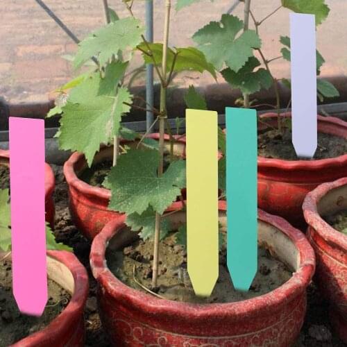100 Pcs Plastic Plant Seed Labels Pot Marker Nursery Garden Stake Tags 5cm X1cm Plant Name Mark Tools Garden Accessories