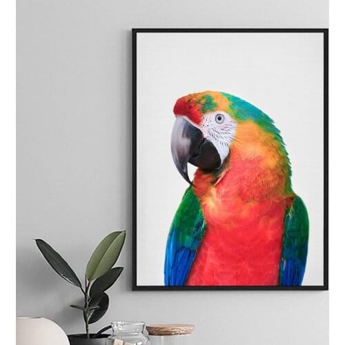 Canvas Painting Parrot Print Tropical Bird Wall Art Picture Exotic Poster Ara Bird Parrot Photography Image Home Room Decoration