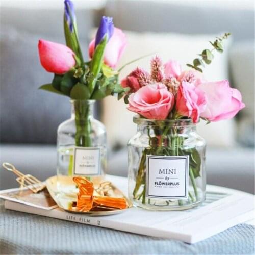 Dried Flowers Vase Hydroponics Living Room Decoration Desktop Ornaments