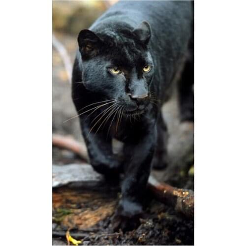 New AB Diamond Painting Embroidery Mosaic Modern Animal Art Panther Diamond Painting Mosaic Rhinestone Graphic Art