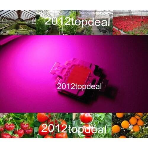10pcs 10w cob grow led chip , full spectrum 380nm~840nm full spectrum led grow light for plant grow fast and better