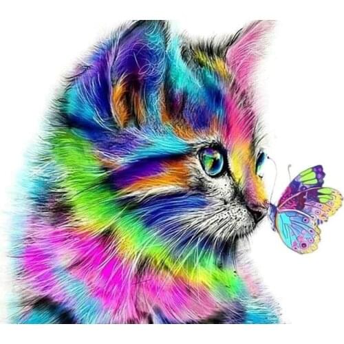 Kitten met vlinder Diamond Painting