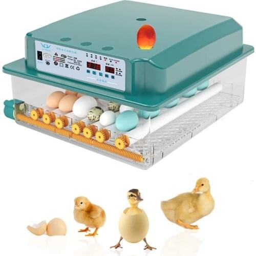 Automatic Eggs Incubator Household Brooder Farm Chicken Duck Eggs Incubator Bird EggS Incubator 6-16 Eggs