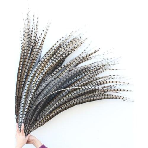 Wholesale 20pcs/lot beautiful Lady Amherst Pheasant Tail feathers 12-14cm/12--14inches carnival DIY Decoration plumas