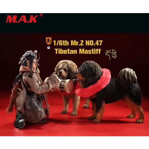 Mr.Z MRZ047 1/6 Simulated animal model 47 bullets Tibetan Mastiff can be used with 12-inch dolls Collectibles Decoration Gifts