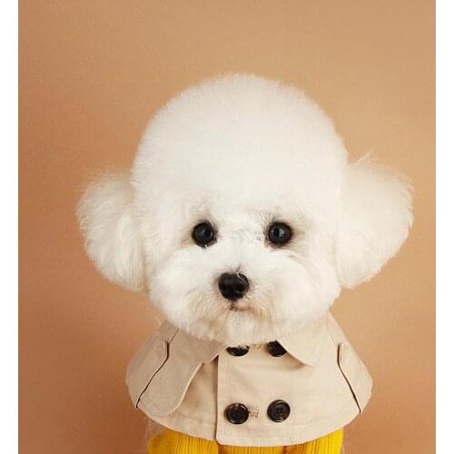 Dog Clothes Clothing Trench Cape Collar Soft Warm Clothing Pet Cat Clothing Cape Hat Pets Costume Trench