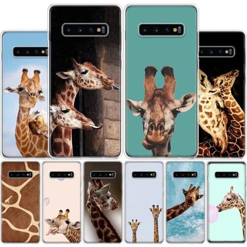 Giraffes Cute Animal Phone Case For Samsung Galaxy A51 A71 A50S A30S A10 A20E A40 A70 M30S A91 A01 A6 A7 A8 A9 Plus + Cover