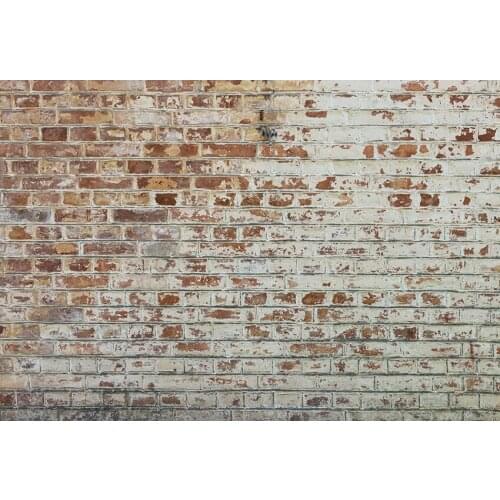 Art brick wall pets photo backgrounds vinyl fotografia vintage photography backdrops for photography studio accessories lv-1065