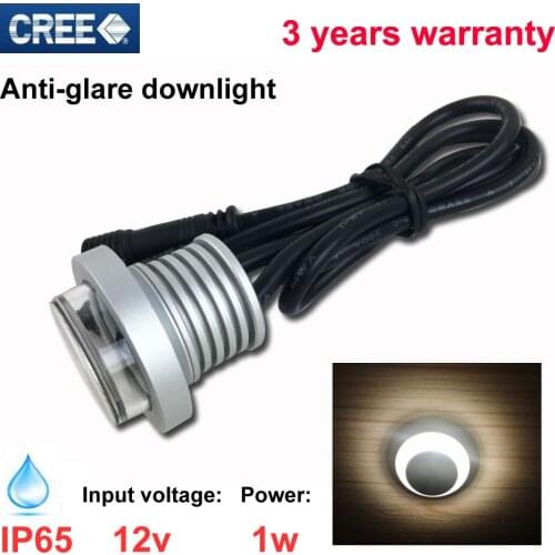 12pcs/lot 1W Anti-glare LED downlight 12V white Waterproof IP65 led downlight LED Spot light led ceiling lamp free shipping