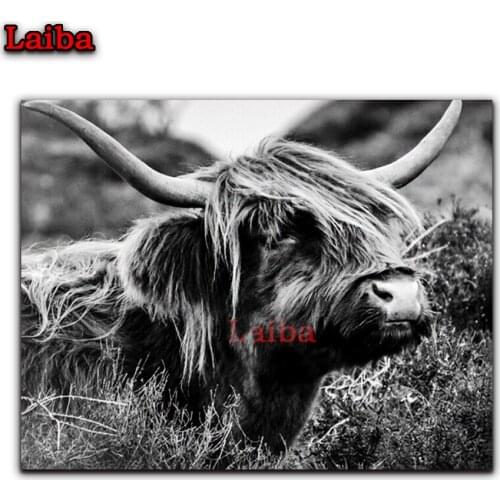 Diamond Embroidery Highland cattle DIY 5D Cross Stitch Black White Art Square Round Diamond Painting mosaic picture by numbers