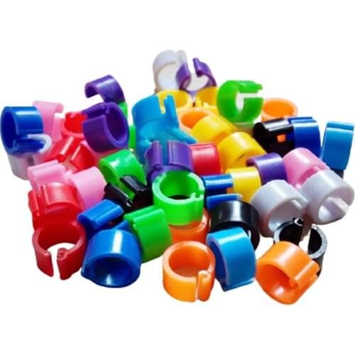 100Pcs 10 Colors Birds Feet Rings Inner Diameter 8mm Width 7mm Plastic Clip Ring Pigeon Dove Quail Foot Ring Farm Animal Carrier