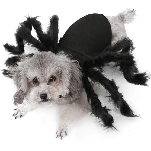 Pet Dogs Clothes Spider Cosplay Pet Costume for Cat Dog Spider Bat Role Play Dressing Up Clothes For Party Christmas Halloween