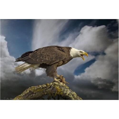 Diamond Painting Animal Eagle Embroidery Diamond Mosaic Landscape Handmade Gift Winter Wall Art Full Square