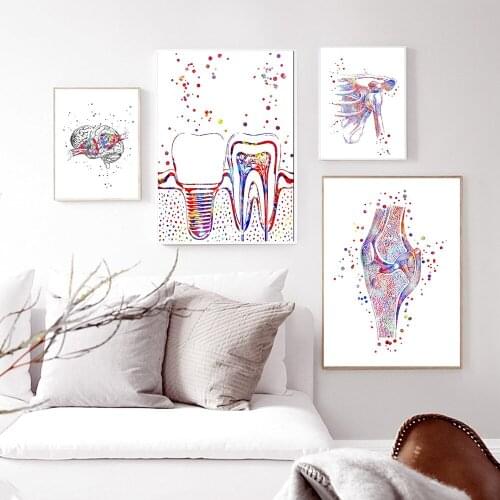 Human Anatomy Muscles System Wall Art Canvas Painting Posters And Prints Body Map Pictures Medical Education Home Decor