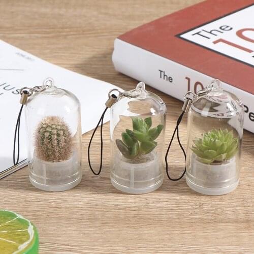 1PC Wearable Keychain Necklace Live Plant Sent Random Cute Cactus Miniature Succulent Cacti