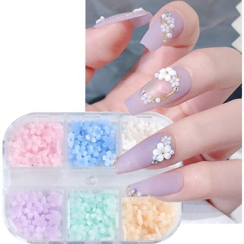 6 Grids 3D Flower Flakes Discolor Resin Rhinestones Beads Pigment Charm Color-changed Nail Art Tools Manicure Accessories NF1936