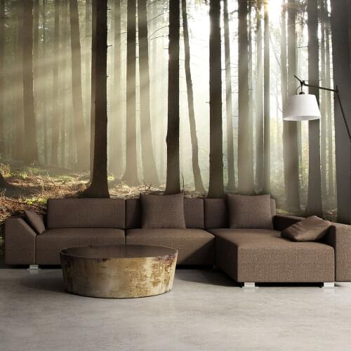 Wall mural-forest coniferous morning-450x270 cm