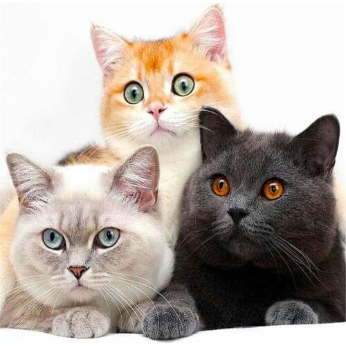 Animal Cat DIY Cross Stitch Embroidery 11CT Kits Craft Needlework Set Printed Canvas Cotton Thread Home Decoration Sell