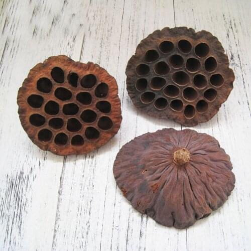 5pcs natural dired lotus seedpod&seedpod of the lotus