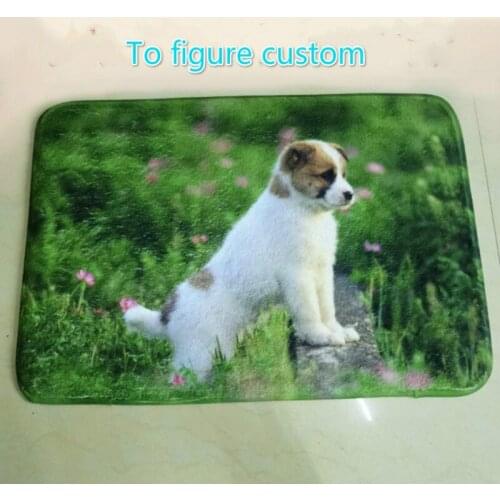 To customize pet carpet mat cartoon cartoon mat