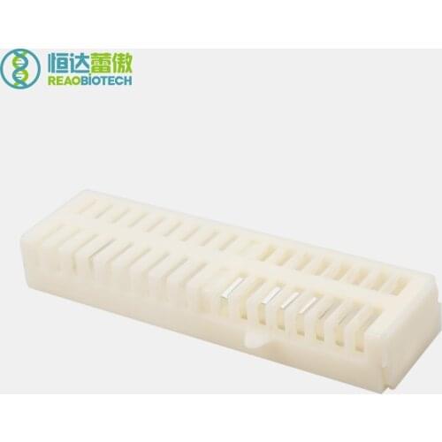 10pcs Bees Queen Cage Beekeeping Equipment and Apicultura Tools for Beekeeper Bee keeping