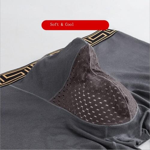 Hot See Through Mesh Panties Man Anti-Wear Comfortable Breathable Underpants Exquisite Sexy Briefs Gray Underwear With Elephant