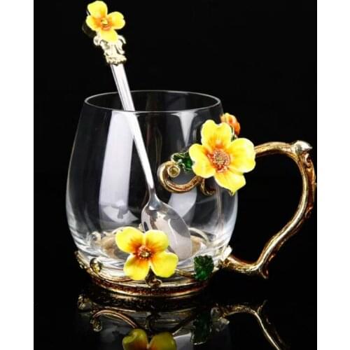 AMEKAN Double Wall Glass Cups