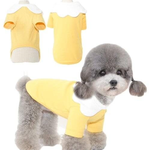 Solid Dog Shirt Lotus Leaf Lapel Cat Pet Clothes O-neck Short Sleeve Pullover Hoodies For Small Dogs Chihuahua Sweatshirt Outfit