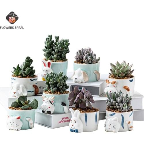 Nordic Home Planting Flowerpot Decoration Hydroponic Ceramic Flowerpot Decoration Creative Simple Hand-Painted Flowerpot Gift