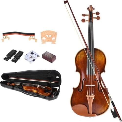 4/4 Full Size Violin With Jujube Accessories Carbon Fiber Violin Case