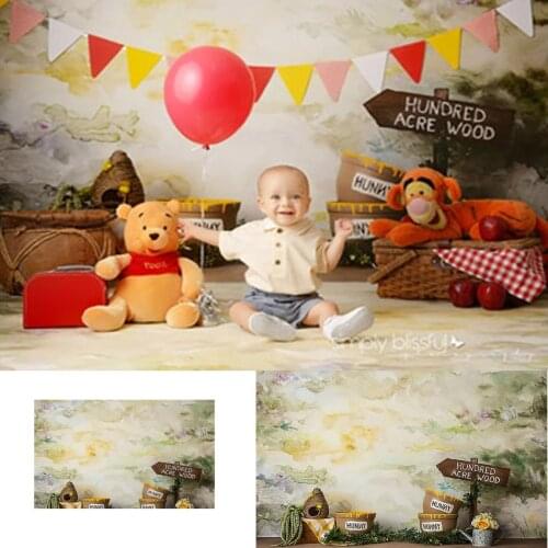 Sweet Honey Winnie Pooh Photography Backdrop Hunny Bear Baby Newborn kids Birthday Background Photo shoot Photocall photophone